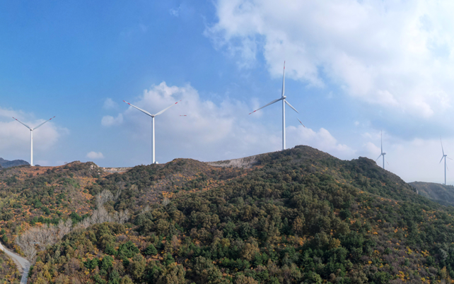 全球最大在建陆上风电项目迎关键节点 中企承建助力沙特绿色转型