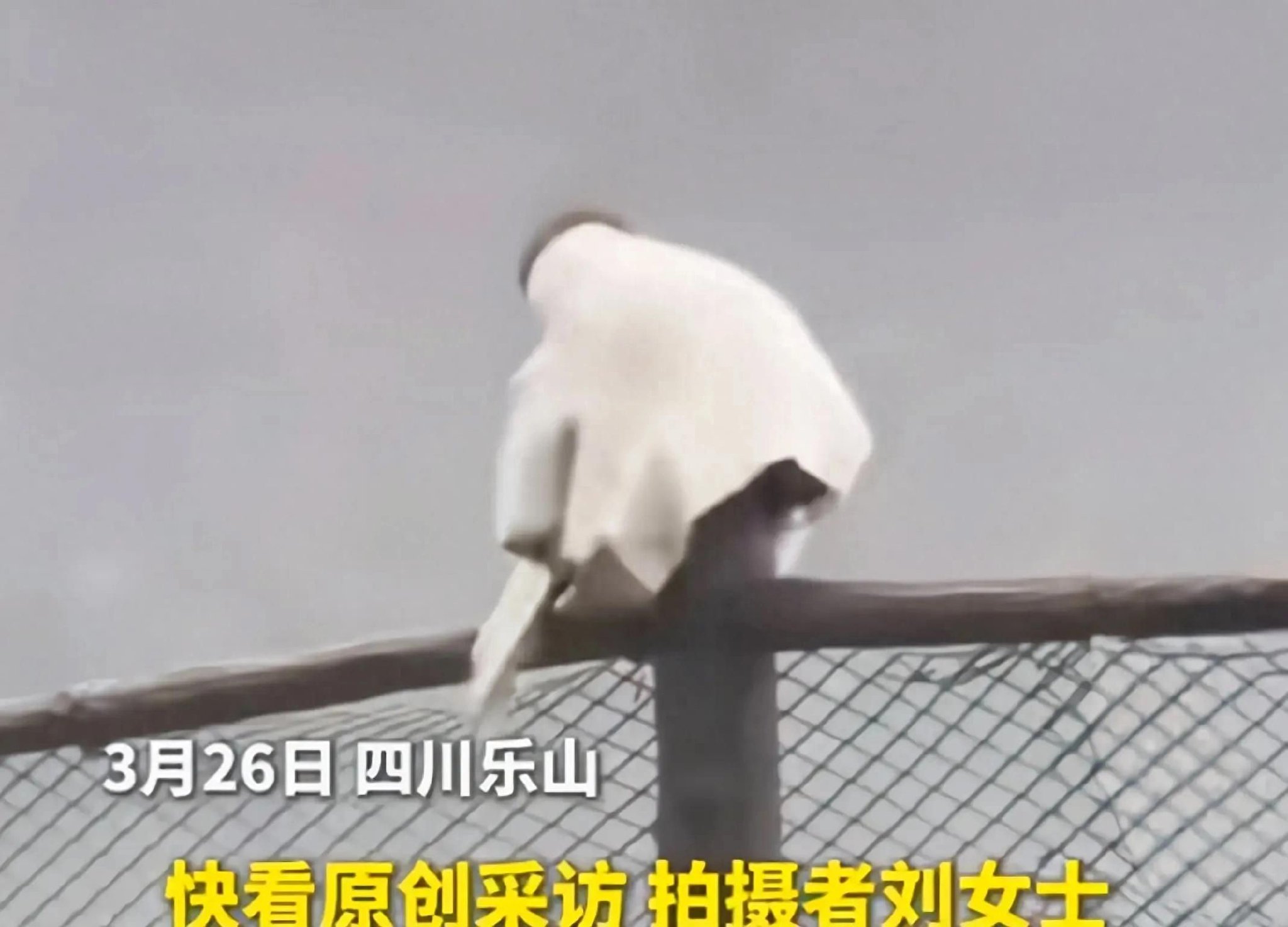 峨眉山小猴模仿穿衣神似悟空 勾起一代人西游回忆