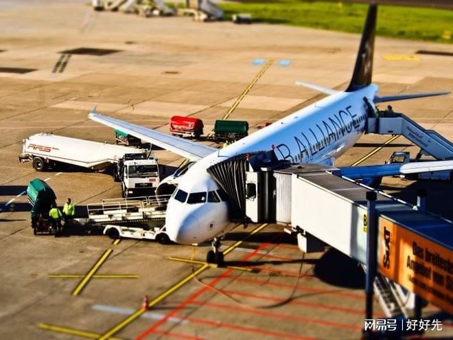 「籽多多」独居周末总摆烂?MC专家的这份计划，让日子慢且舒服|周末|熬夜|籽多多|苏醒|茶几