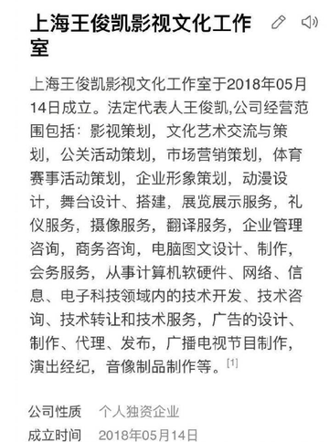 上海王俊凯影视文化工作室[中国以娱乐业为主的公司]
