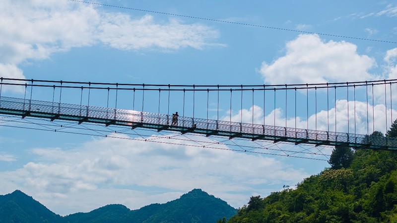 江浙沪宠物友好乐园攻略:带毛孩子撒欢去!|夏天|宠物友好乐园|小动物|年糕|开心|江浙沪