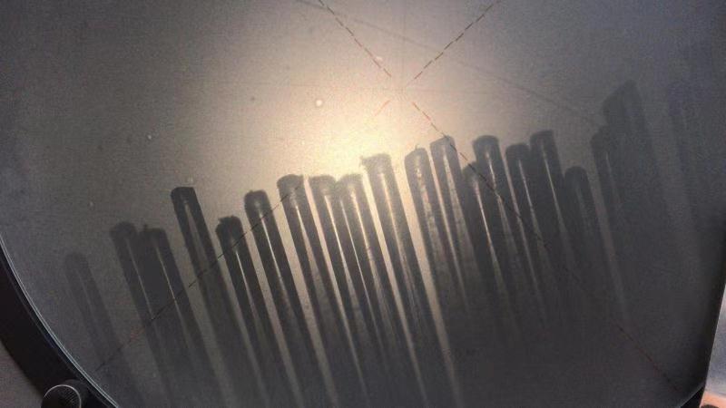 10款电动牙刷对比报告:1000元与100元差距在哪儿?消费者该怎么选?