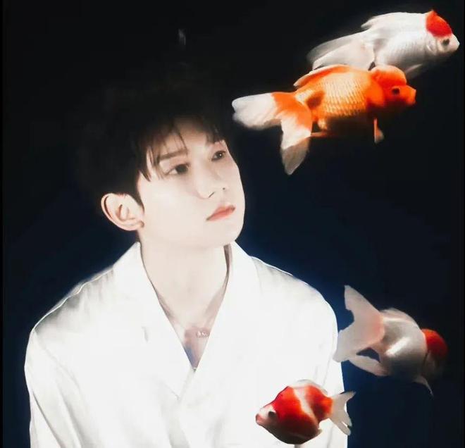 王源有学霸学弟考入伯克利，还获得王源独家语音祝福