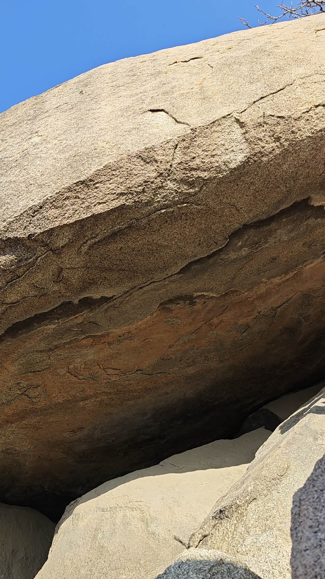 2026年买车有哪些优惠活动?_RAV4荣放论坛