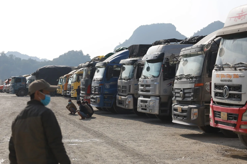 越南超1300辆农产品货车滞留边境！新规“空窗期”引发通关危机