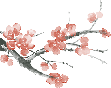 家庭理财知识小百科 //第四篇「高净值新贵」配置方案