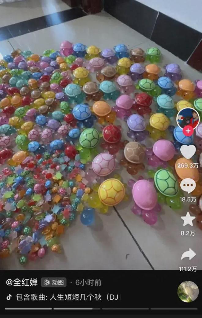 笑疯了！全红婵晒战绩，房间里摆满乌龟，网友：彩色乌龟批发红姐