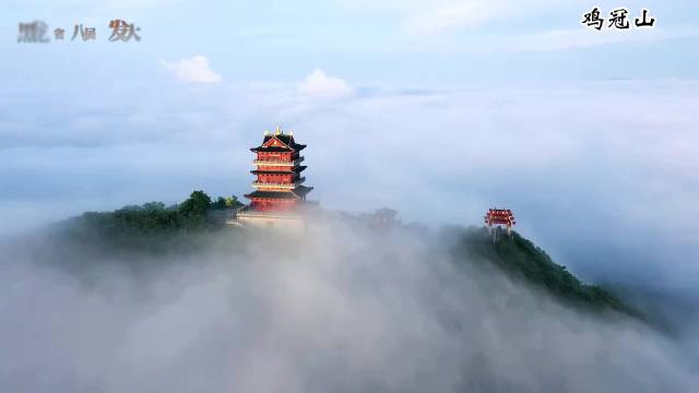 春风送暖樱花绽，北国三月好风光