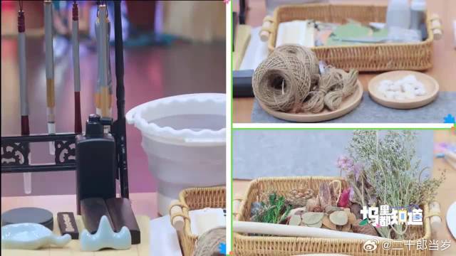 张新成王玉雯播音腔对话，北电跟中戏对决，笑岔气