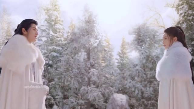 全球范围内，还有谁比他们更登对？