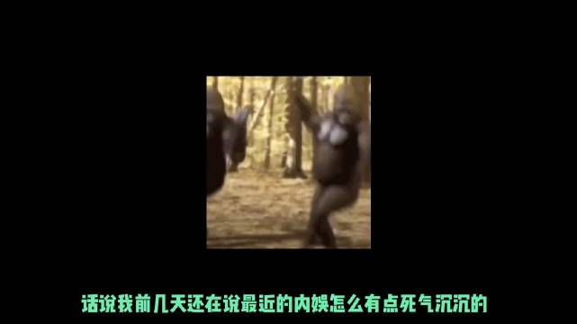 在线硬刚，及时回怼，绝不让子弹飞一会