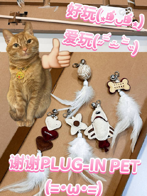 虞书欣代言宠物玩具品牌，逗猫棒获猫咪喜爱