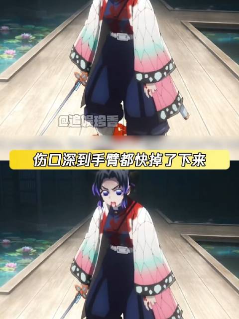 疼痛都是超乎想象的 蝴蝶忍 童磨 无限城