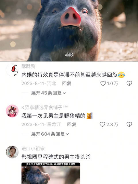 谁能想到第一次历劫是老虎与野猪啊 七时吉祥 杨超越 丁禹兮