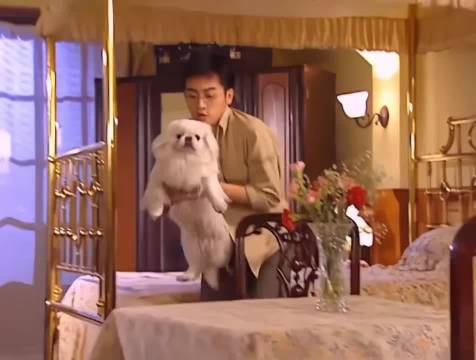 国产剧台词失真引热议，编剧被指脱离生活