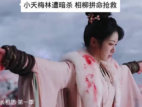 小夭梅林遭暗杀 相柳拼命抢救《长相思》杨紫张晚意邓为檀健次代露娃王弘毅