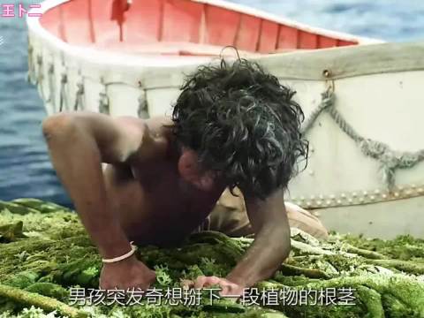 少年派的奇幻漂流