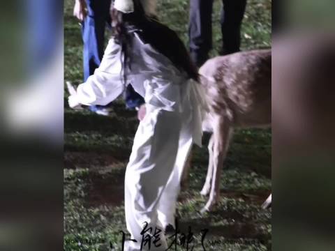 白鹿孟子义奔跑吧落水，范丞丞李昀锐打闹对抗