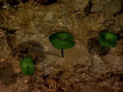 陈浩民叶璇钱嘉乐主演封神榜,哪吒魂魄被云中子所救