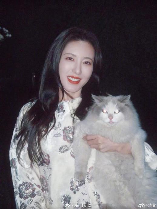 这份长达十年的偶像与粉丝关系，其核心纽带是什么？