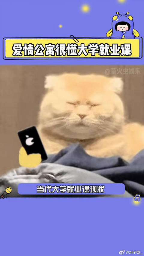 大学 就业课就是不教就业，真实