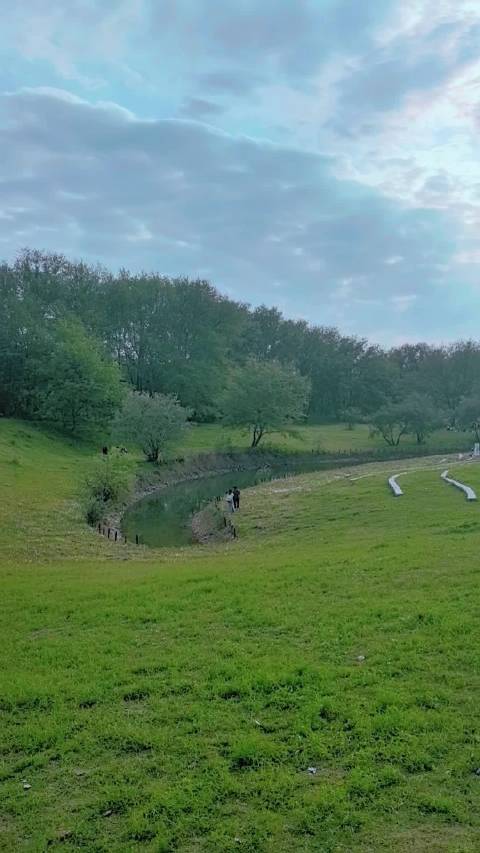 丽水莲都九龙湿地公园3月现萤海,白天绿景夜晚萤光