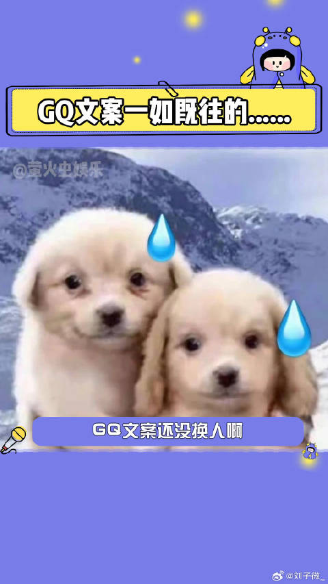 关晓彤 白鹿 微博VC计划