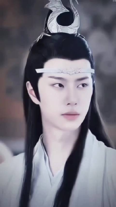 白牡丹与红玫瑰 博君一肖陈情令