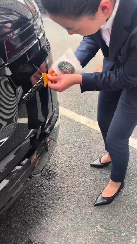 奇瑞路虎四个字不够排面啊