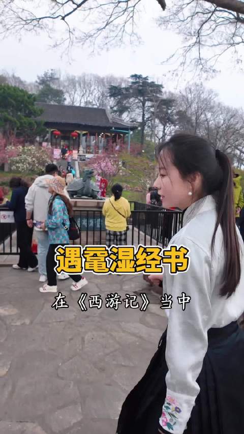 《西游记》里的最后一回，是它！鼋 浙江文旅宣推官