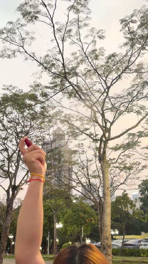 重点宣传片 太震撼了在亿万只蚊子下面没有被咬