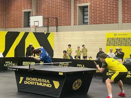 首度亲临樊振东赛场，心跳随球速共振！