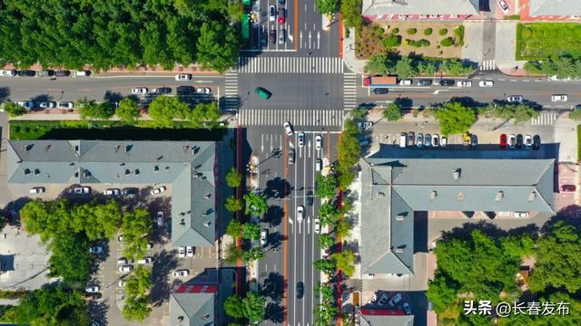 ▲部分图源 | 长春晚报融媒体记者 王强