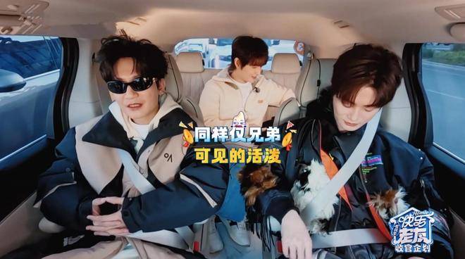 要不是听到张远、陆虎亲自坦承,还以为这兄弟俩在所有综艺都活泼