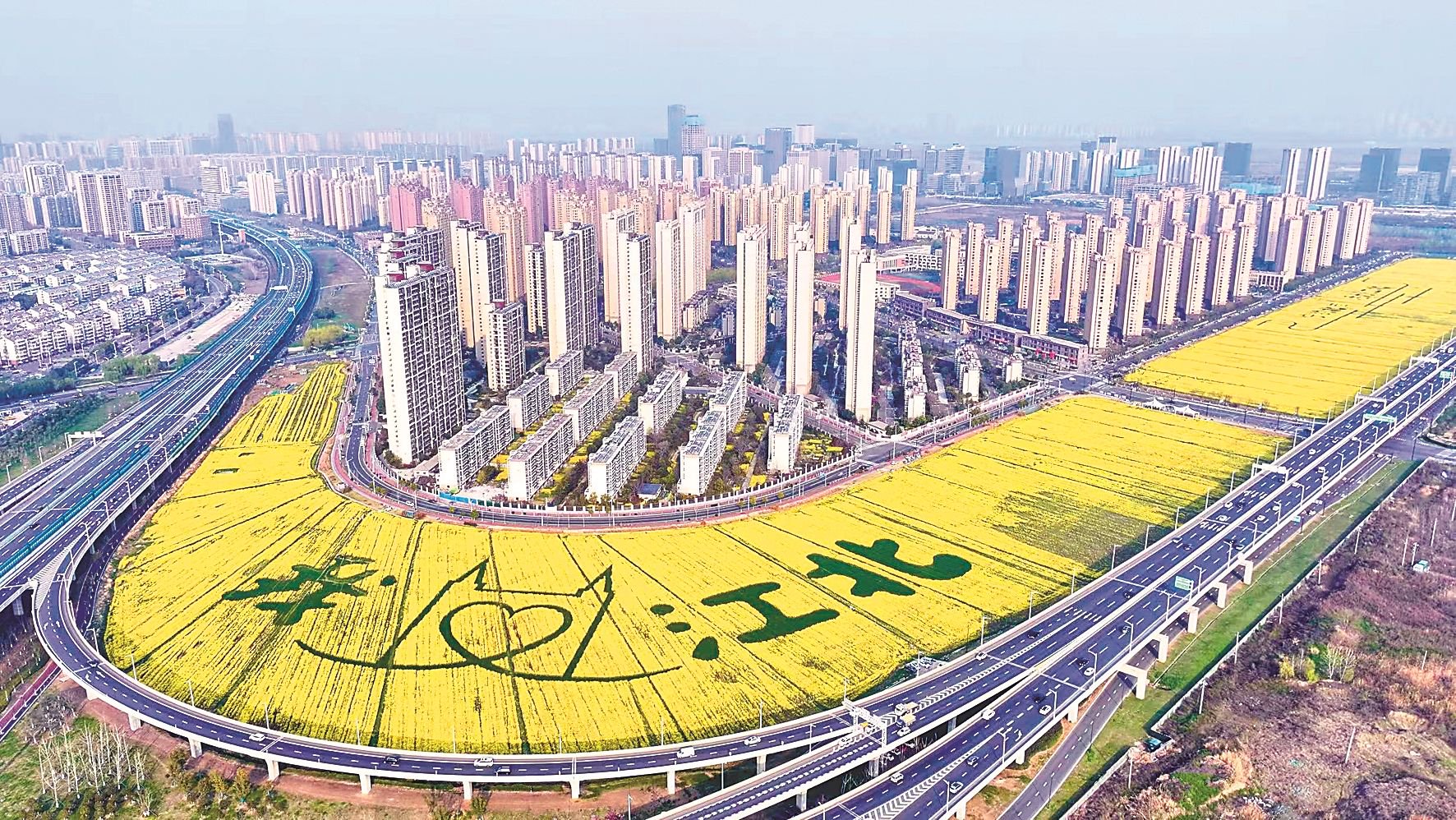 南京，把春天还给了生活