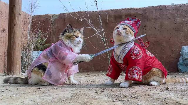 AI复刻周星驰《大话西游记》经典情感戏片段