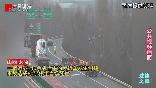 运载140余头牛的货车高速上侧翻