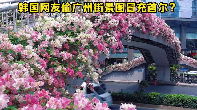 韩国网友偷广州街景冒充首尔，城市形象底气较量