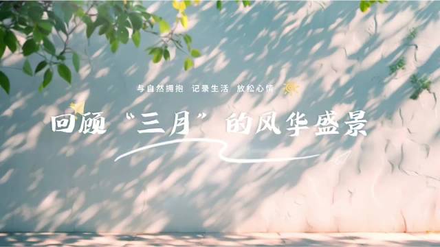 三月旅行Vlog踏遍山河收藏春日浪漫