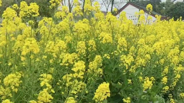 上海市民冒雨办理银行业务，档案问题终解决