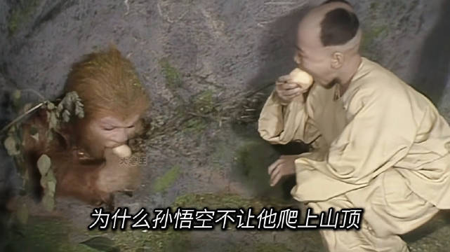 曾经桀骜不驯的孙悟空是怎么变成孙行者的？"孙悟空 "西游记 "如来 "观音菩萨