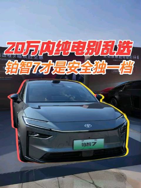 20万内纯电别乱选！铂智7才是安全独一档
