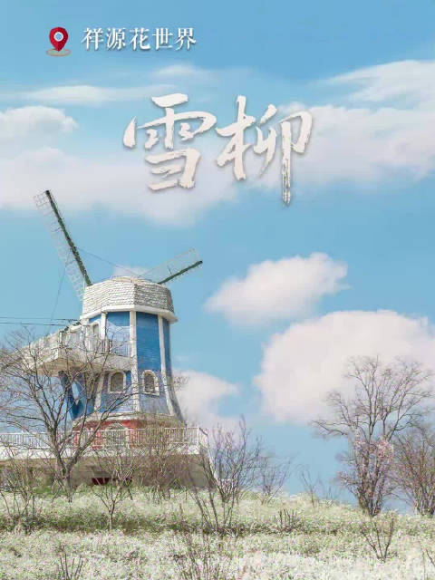 看完这组图直奔合肥