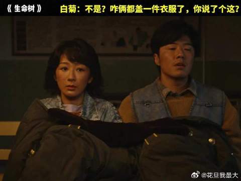 这是真是块木头！