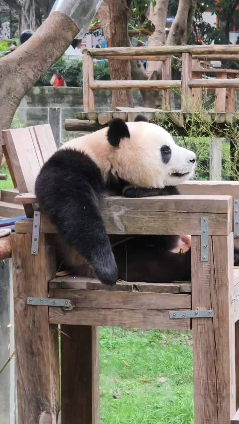 五少爷，可否开着你的豪车带姨姨去兜风？