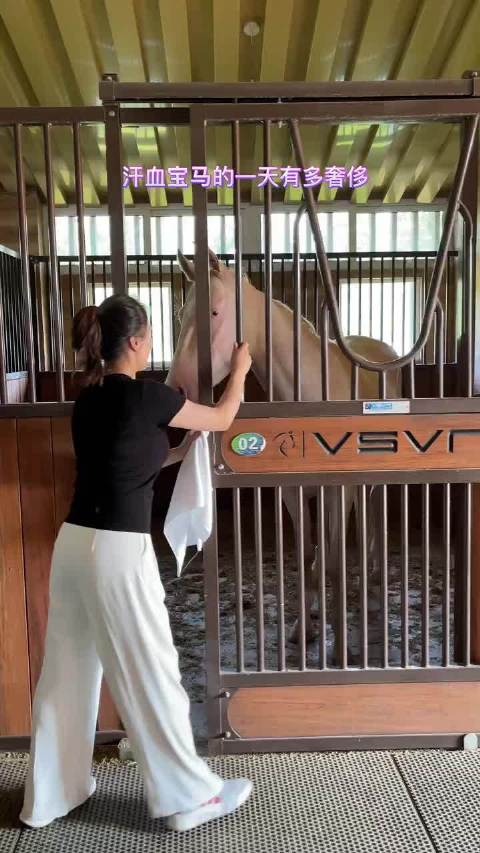 汗血宝马的生活