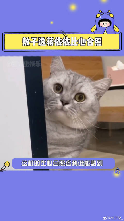 蒋依依 我能不能就要这个嫂子呀，这比心合照也太要命了比心