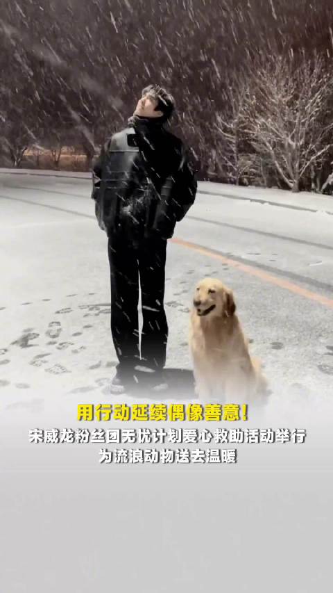 宋威龙粉丝团用行动延续偶像善意，宋威龙粉丝团救助流浪动物