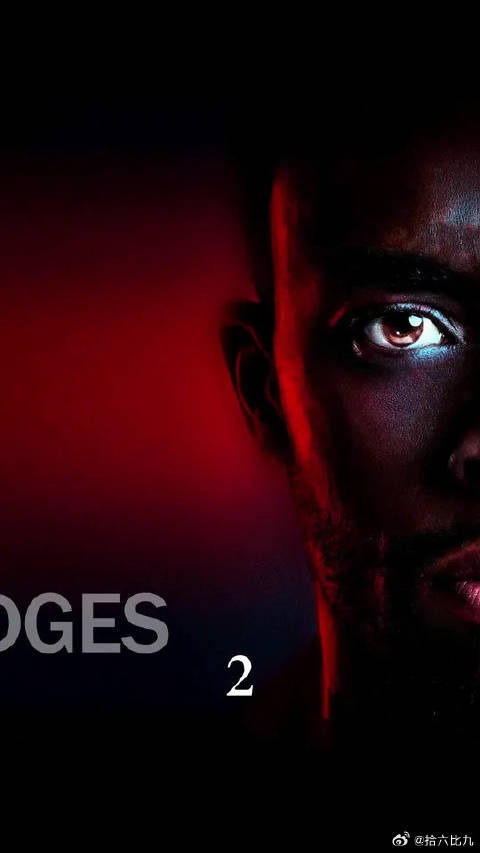 黑豹还是那个黑豹，缅怀国王