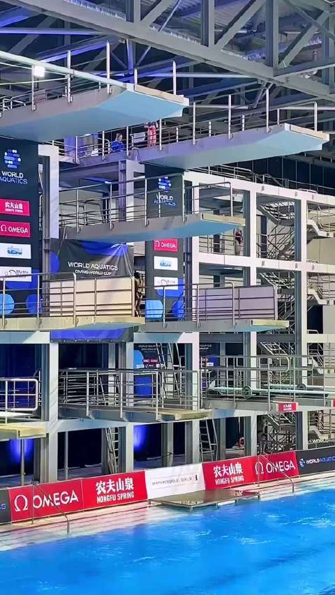 全红婵面临发育关挑战，跳水天才如何突破身体变化